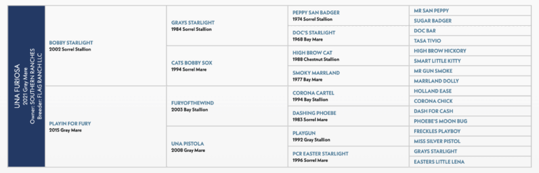 Screenshot 2025-04-26 at 11.10