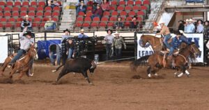 James Arviso is in the conversation for the 2025 Resistol Rookie Headers. Here he's roping JR Gonzalez San Angelo Rodeo. | Andersen/CBarC Photography