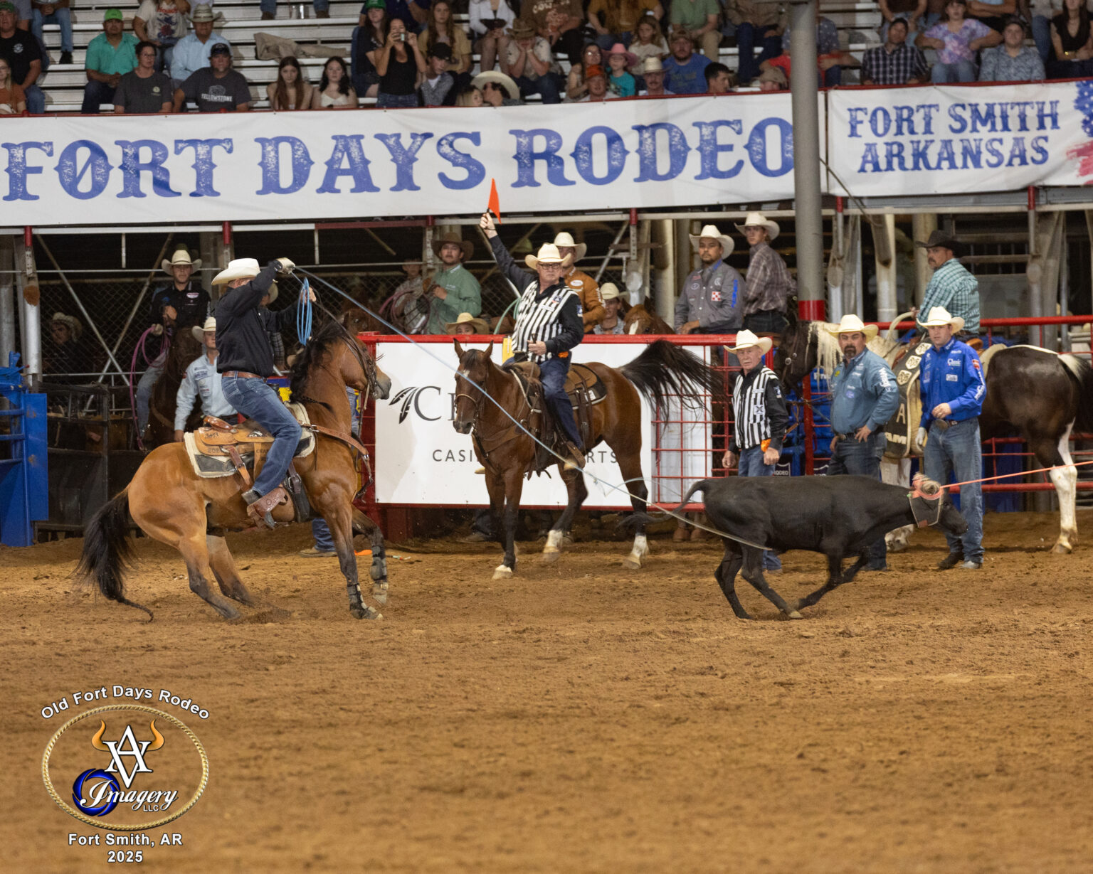 ProRodeo Circuit Team Roping Standings Heading into Summer