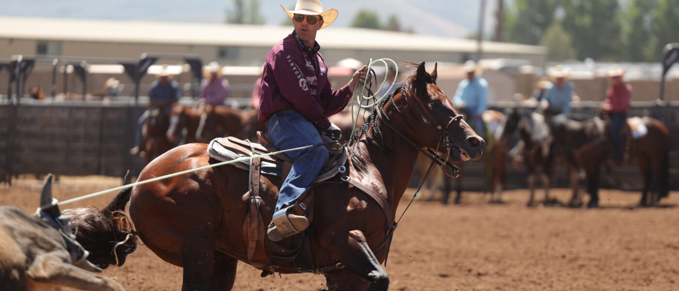 Watch The Lane by The Goodbye Lane