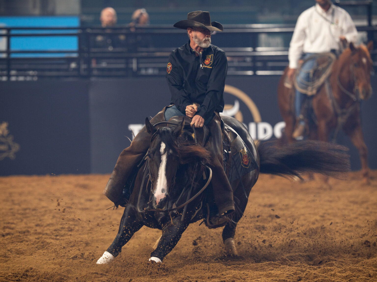 Solo Select Sells Blackish PYC Paint Your Wagon Embryo - The Team ...