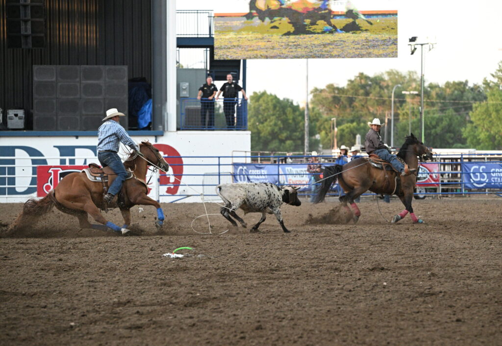 Andrew Ward and Jake Long roping a steer at the 2025 Greeley Stampede.