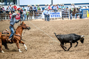 Greeley Stampede 2025