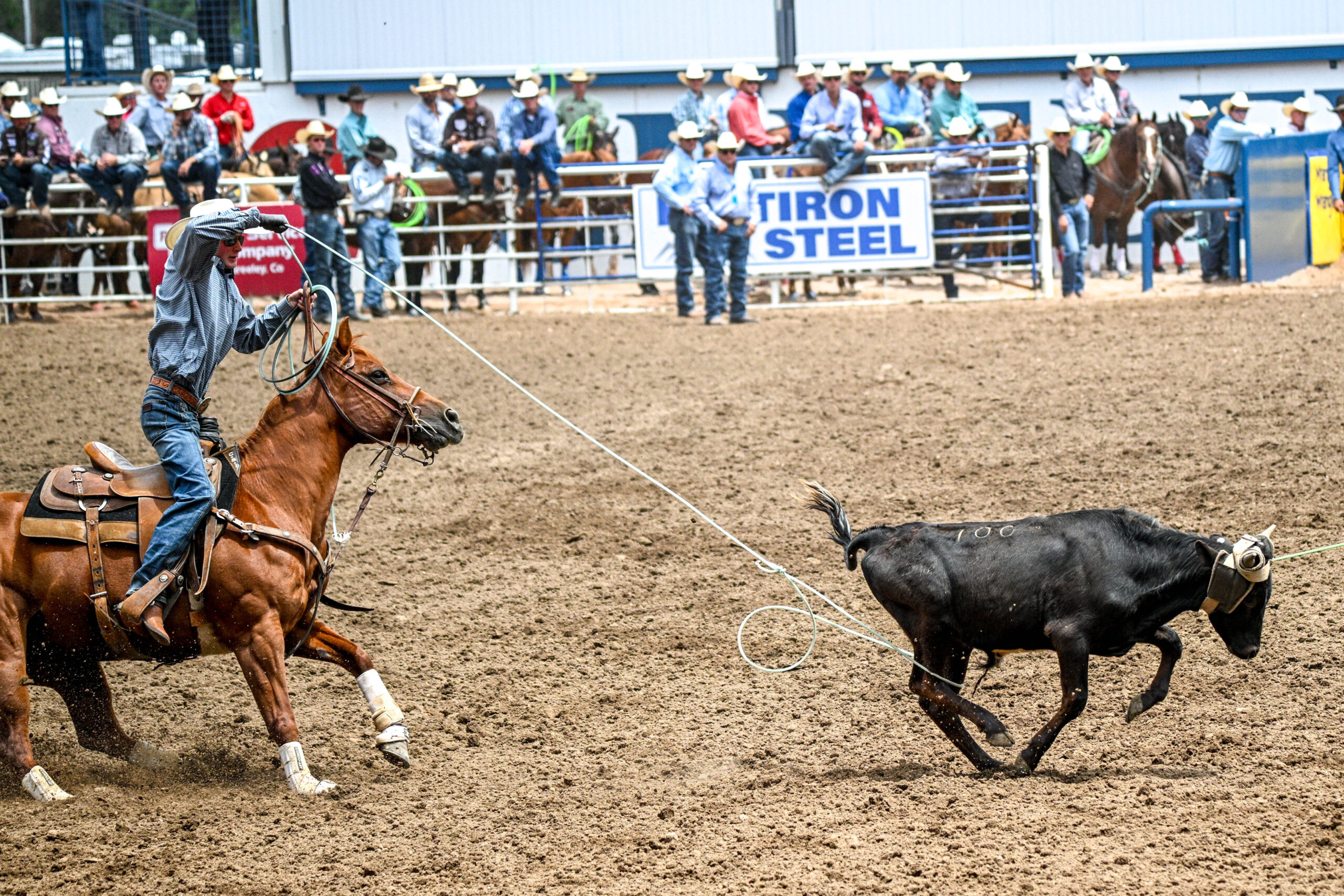Greeley Stampede 2025