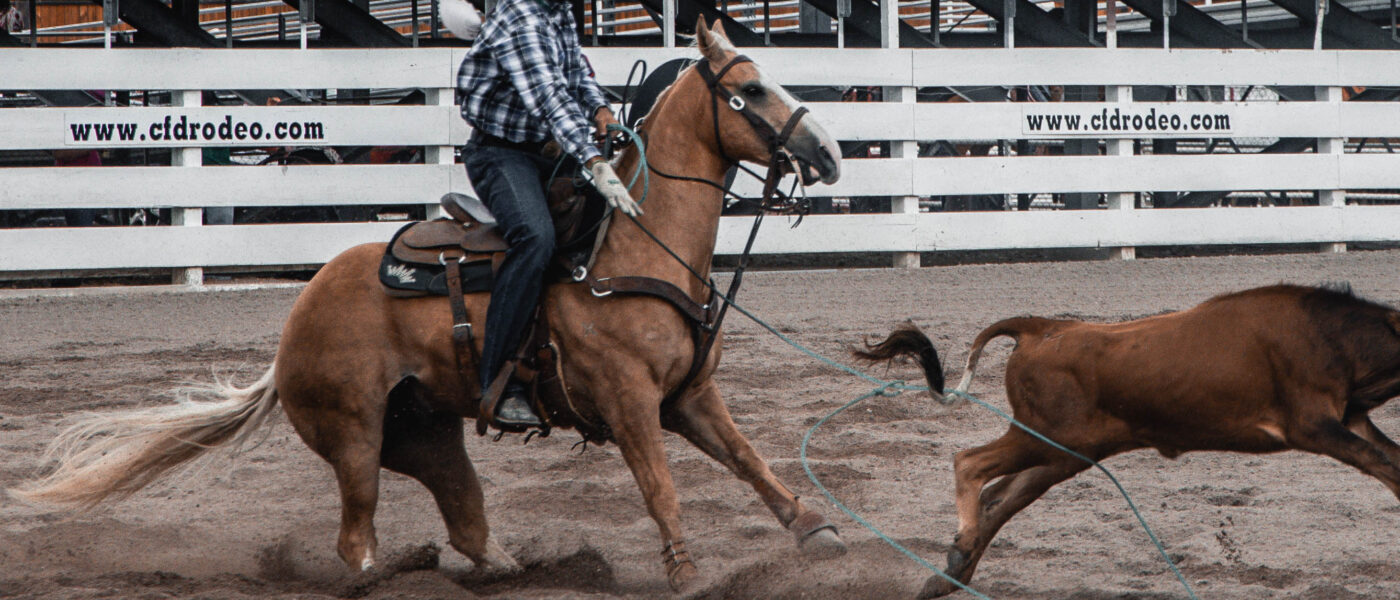 Jade Corkill Heel Horse