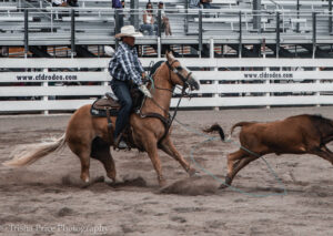 Jade Corkill Heel Horse
