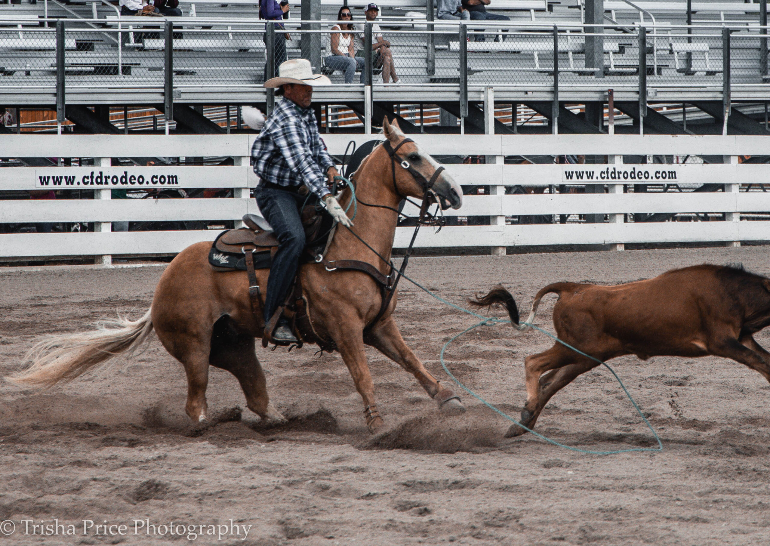Jade Corkill Heel Horse
