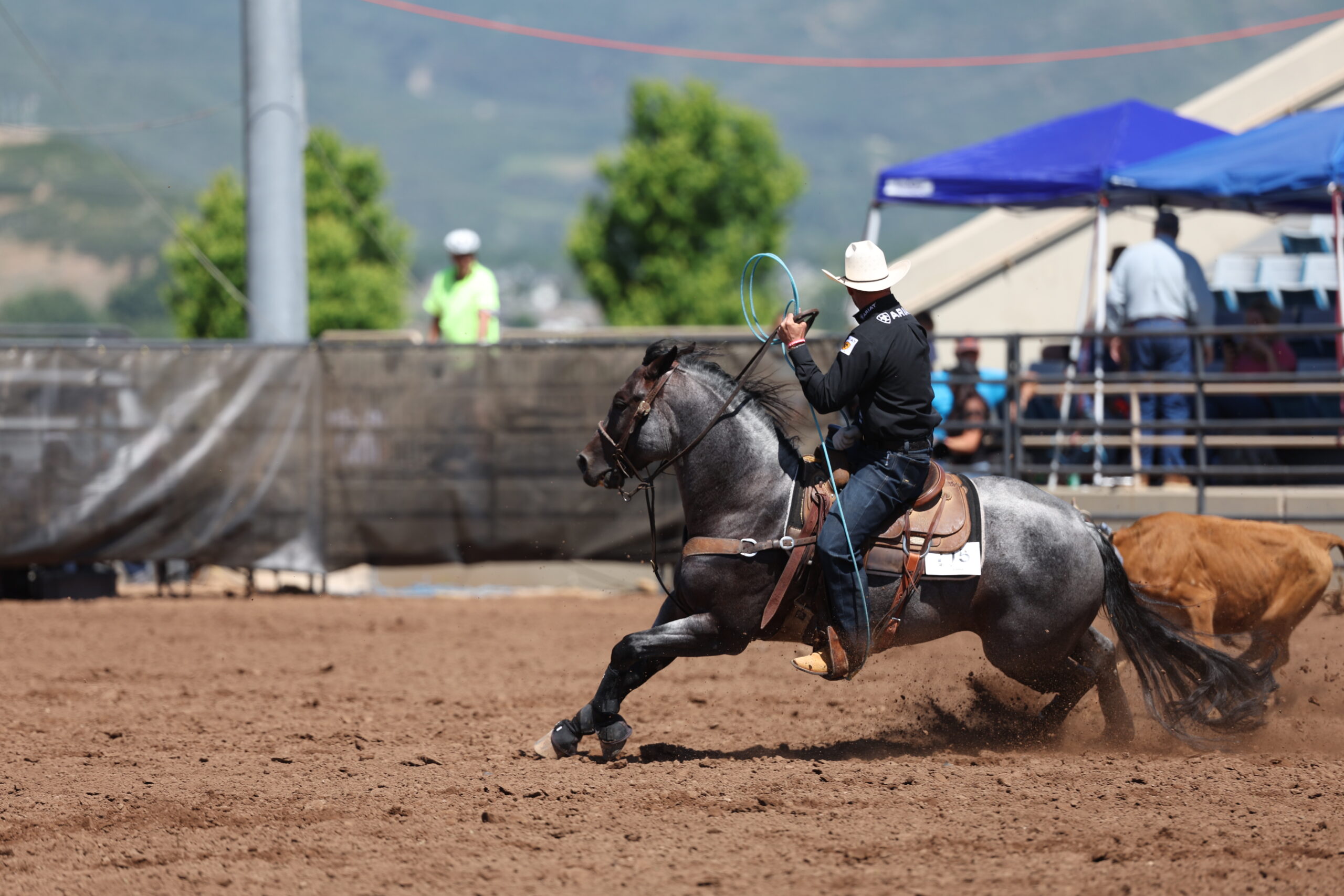 Solo Select Incentive Stallion The Darkk Side