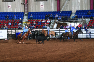 Manny Egusquiza Head horse Walt Woodard
