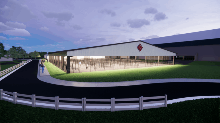 Enscape_2025-05-21-13-15-46_Enscape 3D view 3