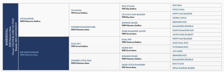 Barbiiedoll Colter Todd