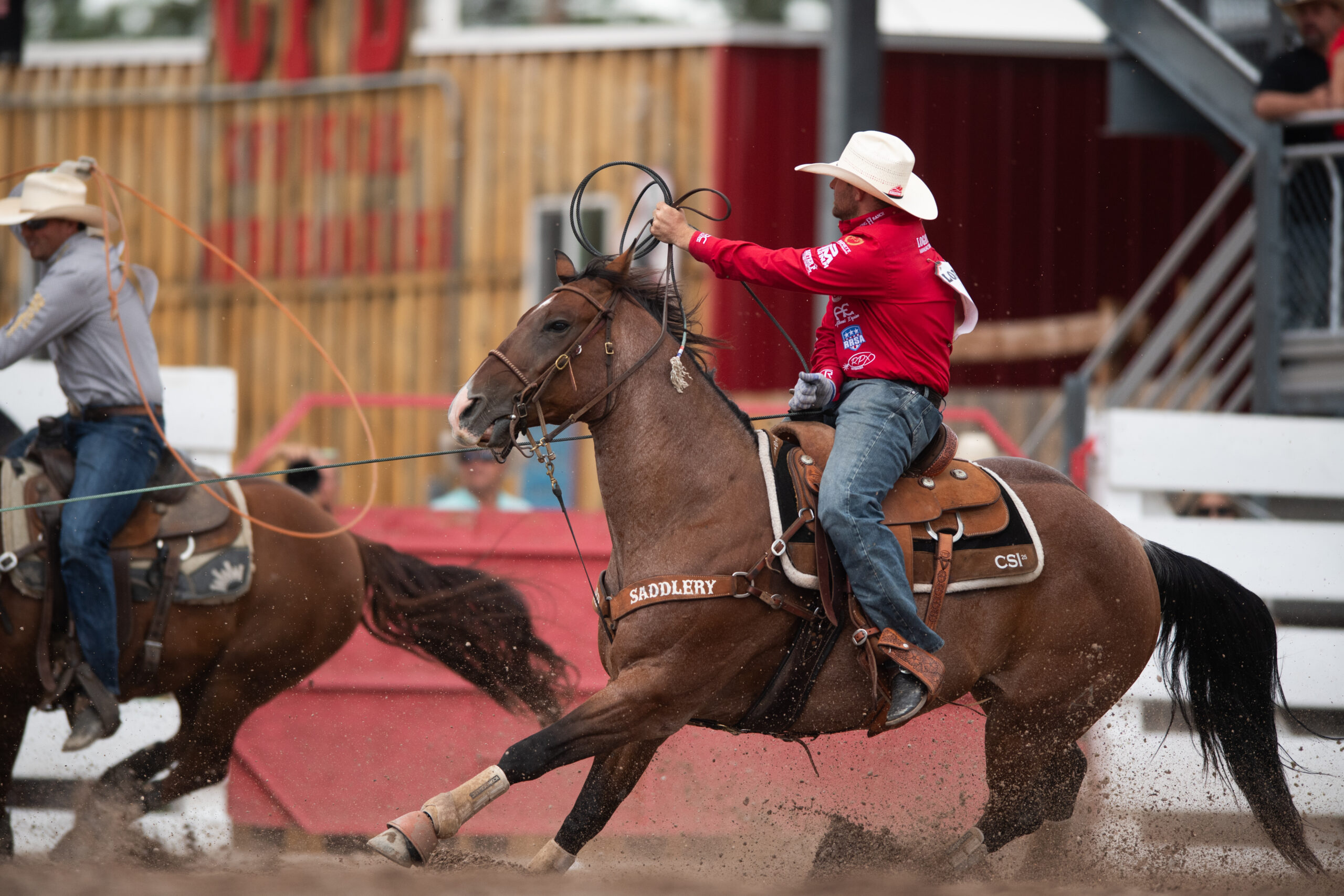 Tyler Wade SBD Sugar Me Sweet Cheyenne Head Horse