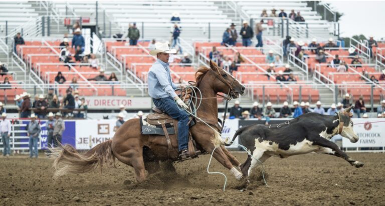 Resistol Rookie Jaydon Warner at California Rodeo Salinas | Click Thompson photo