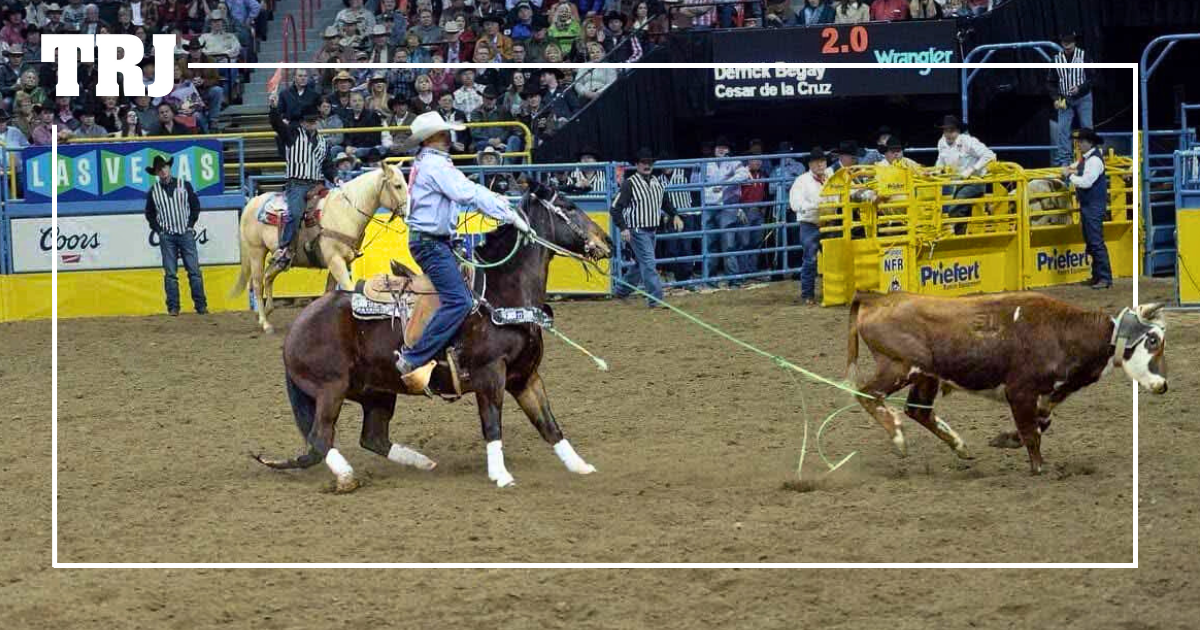 Cesar de la Cruz Remembers Legendary Heel Horse Johnny Ringo