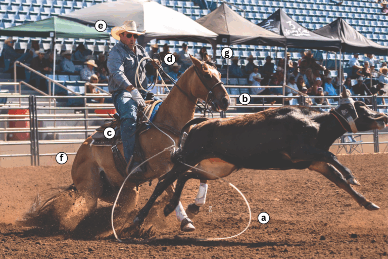 freeze frame jordan allyn old west futurity