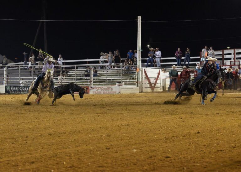 Chase and Riley Quinn winning the team roping with a 6.0-second run at Cowtown Rodeo in Woodstown, NJ on July 26, 2025. | Taylor Ejdys Photography photo