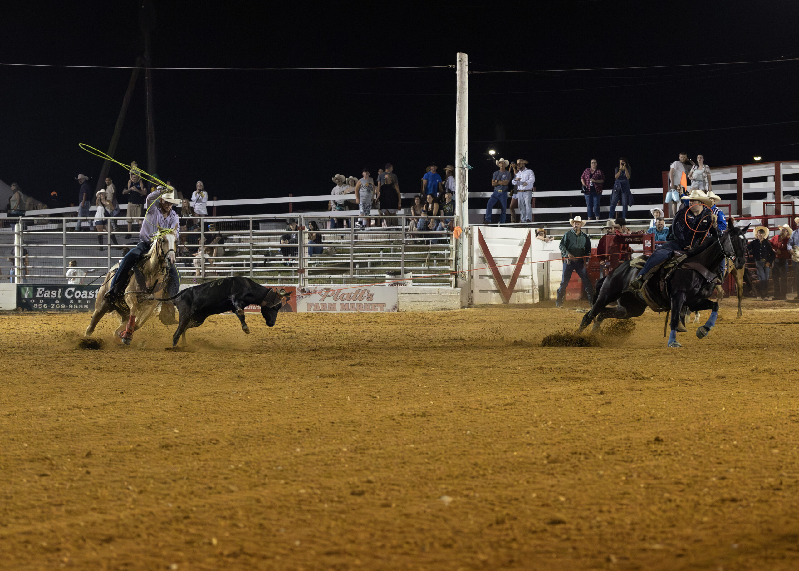 Chase and Riley Quinn winning the team roping with a 6.0-second run at Cowtown Rodeo in Woodstown, NJ on July 26, 2025. | Taylor Ejdys Photography photo