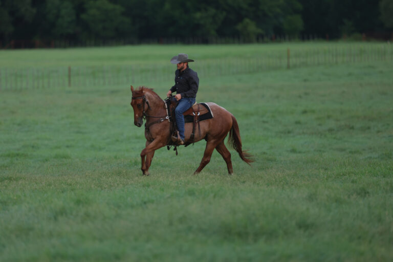 October_2025_1_MCS_5969