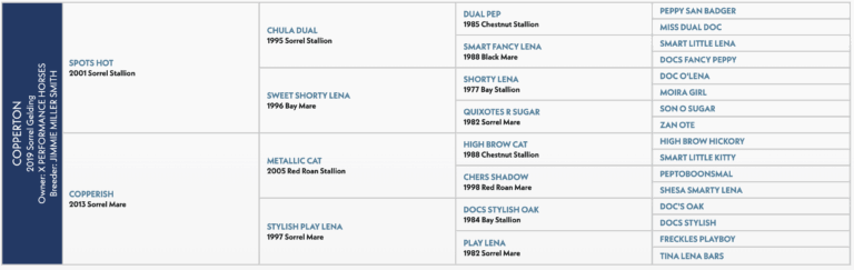 Screenshot 2025-09-09 at 8.42