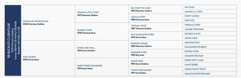 Screenshot 2025-09-11 at 2.40