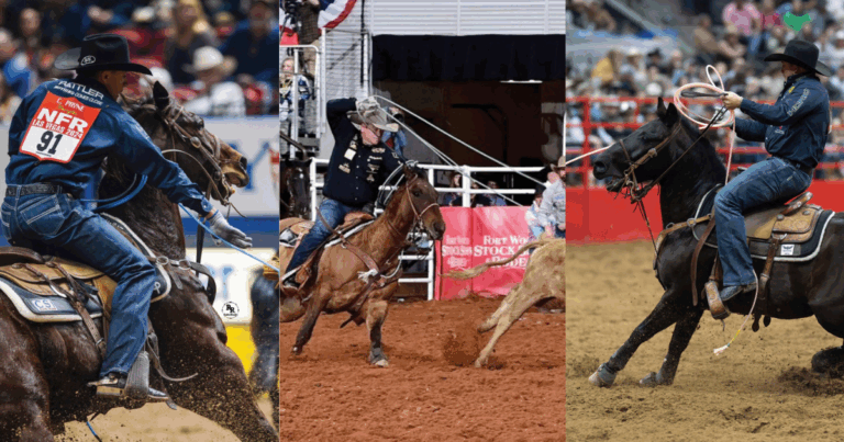 2025 Heel Horses of the year nominees