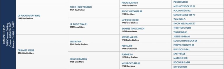 DRB Pocos 2 Jesse Boos