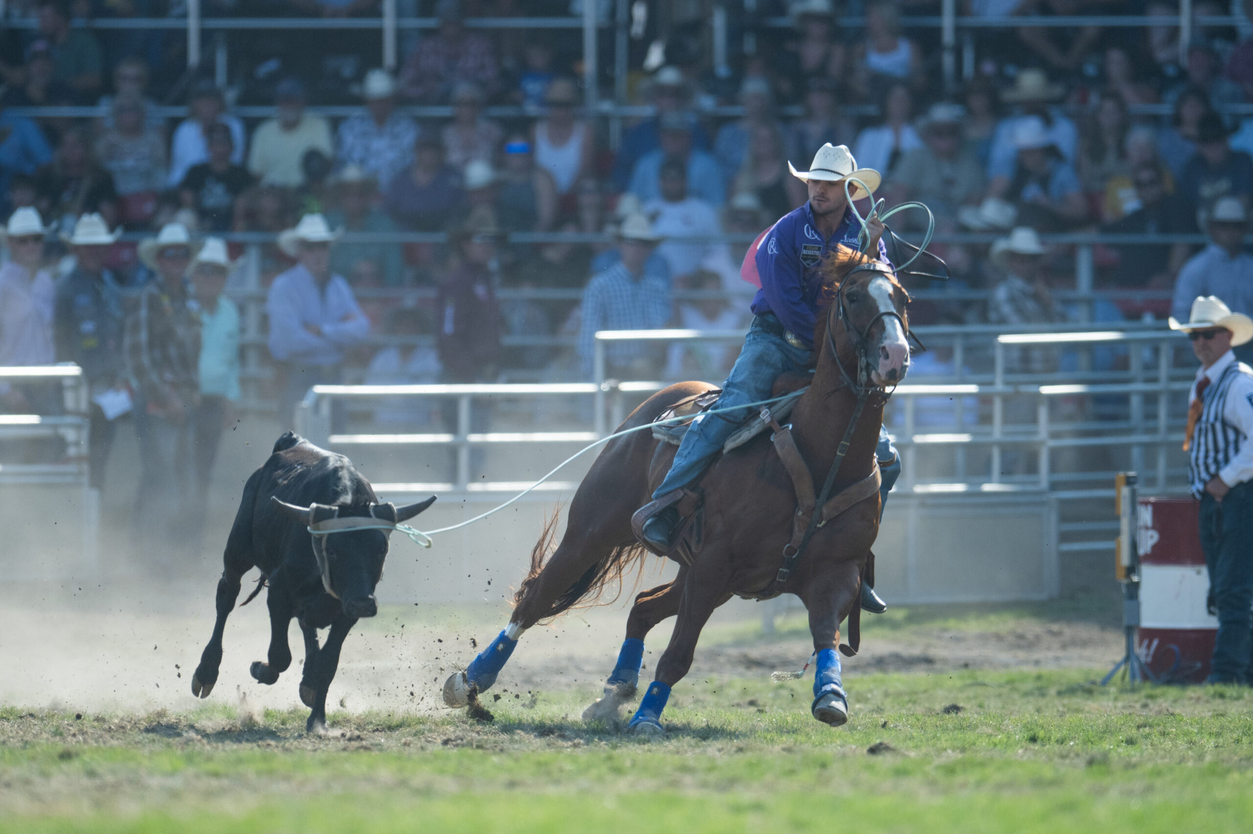 RANDY CARPE DIEM Brown×Green 2025 Pendleton Round-Up Team Roping Results