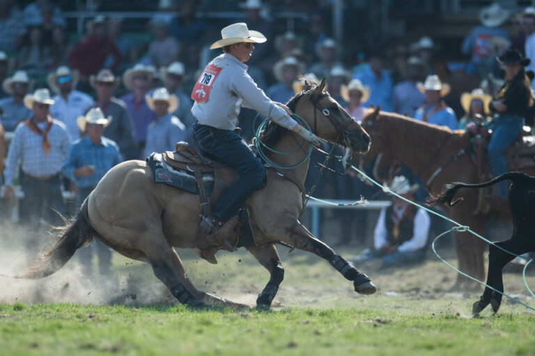 Rookie Jaydon Warner heeling a steer to win the 2025 Pendleton Round-Up. | Click Thompson photo