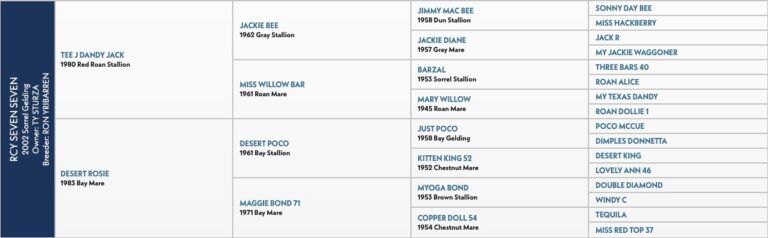 RCY Seven Seven Brayden Schmidt