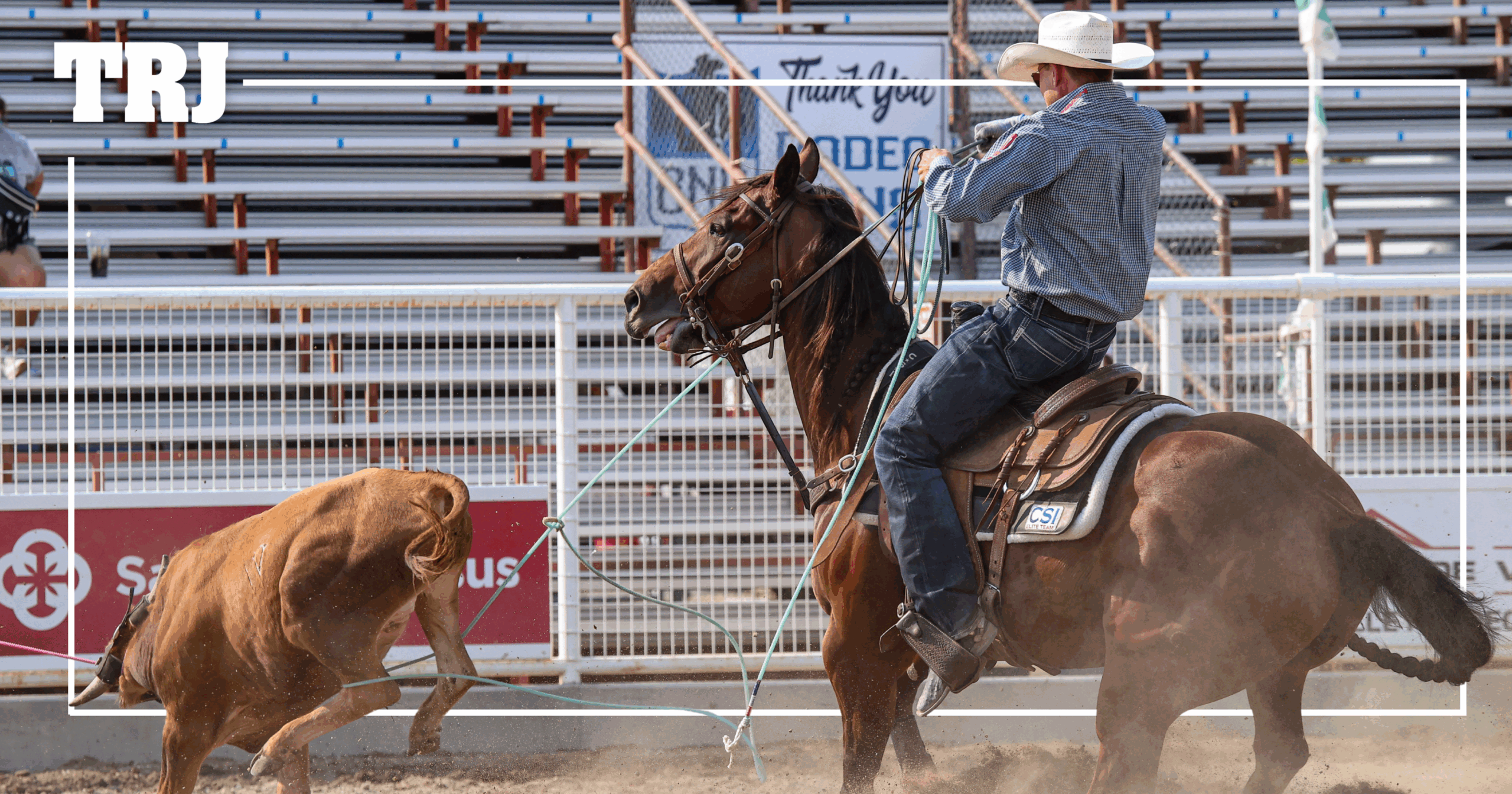 Coleby Payne’s Cut Off My Spots Wins 2025 AQHA/PRCA Heel Horse of the ...