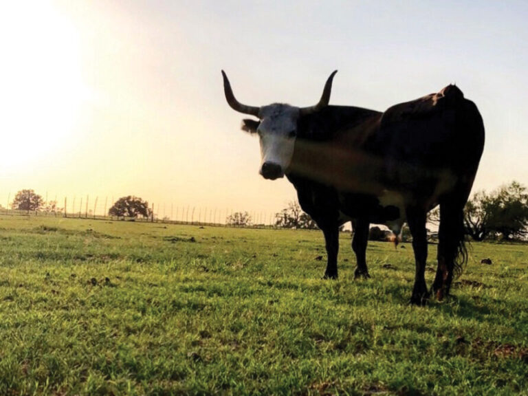 October_2025_Finally