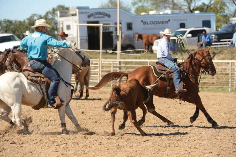 Dec_2025_hawkins and white