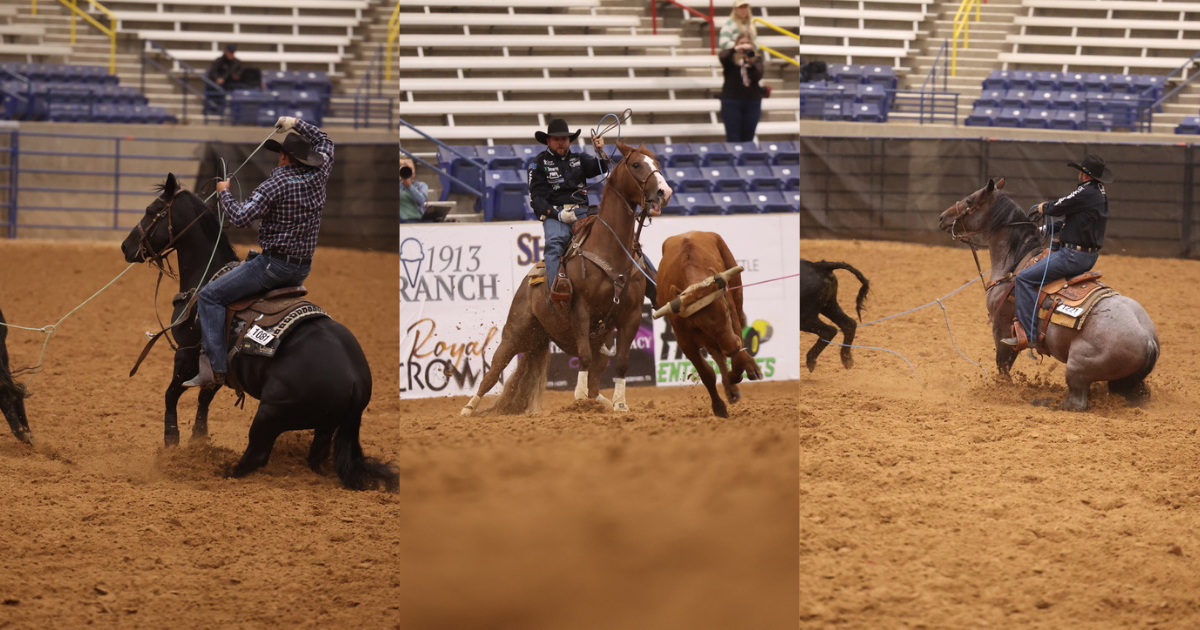 Jeremy Buhler and Joseph Harrison hold the top three spots in the 6 & Under Futurity heeling short round. | TRJ File photos