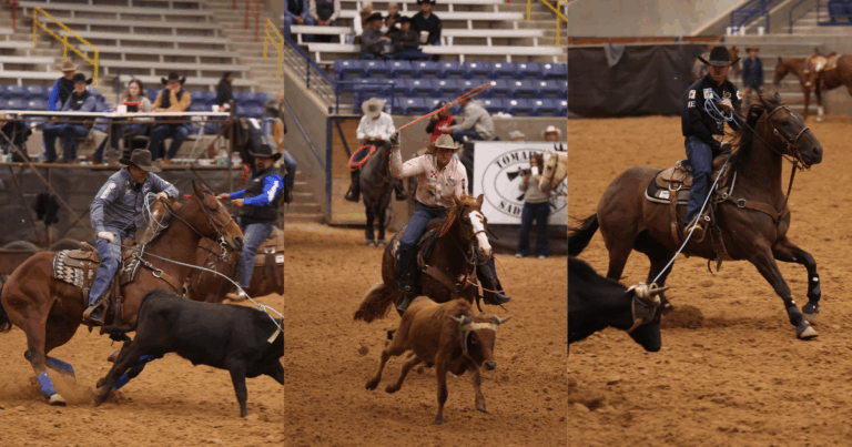 561FDE5A-BD77-4B0A-AF9E-C035FCA455A0