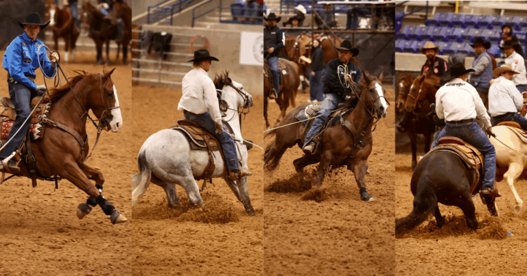 40F39940-B25C-472A-8F27-A8E3E867FDCA