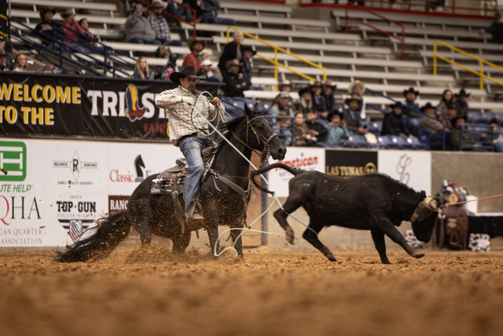 Jeremy Buhler DT Hickorys Angus