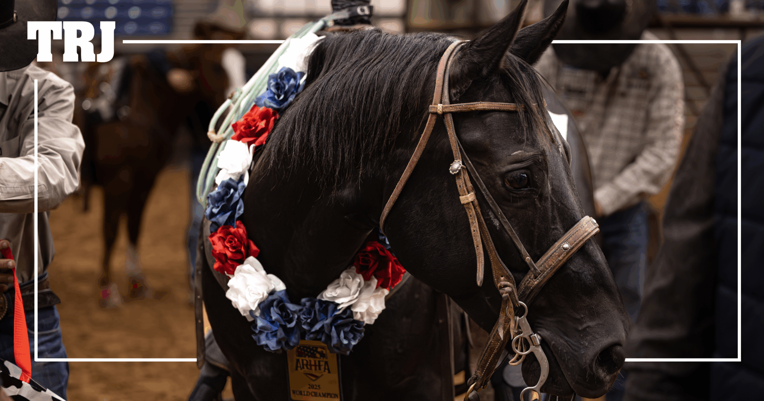 DT Hickorys Angus, Jeremy Buhler win ARHFA Heeling - The Team