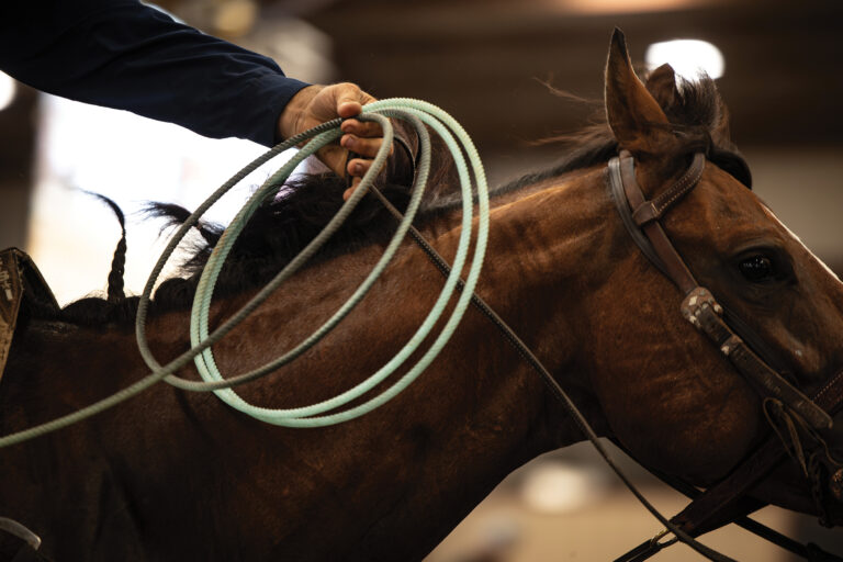 Dec_2025_Dakota_MCS_8224