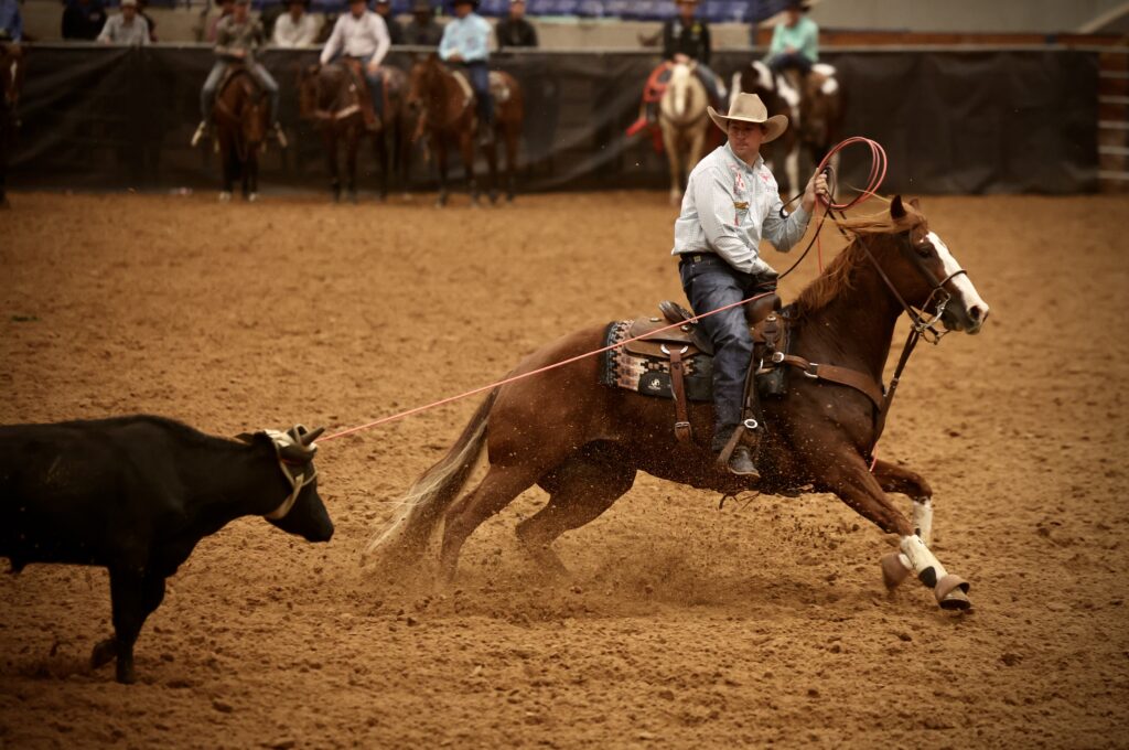 2025 ARHFA 4 & Under Pre-Futurity headiing champion My Kinda Crazee and Tate Kirchenschlager. | TRJ file photo by Calli Montague
