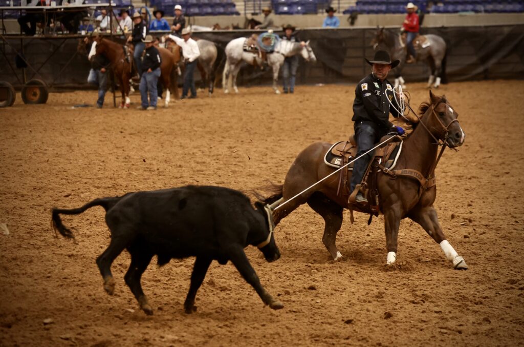 6 & Under heading champion Vintage New York and Trevor Brazile. | TRJ file photo by Calli Montague