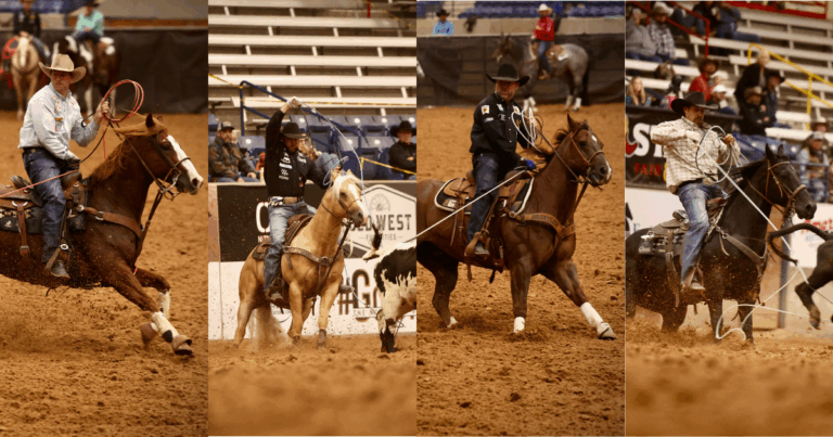 6D1372D1-AA72-48A9-9D71-BA63865AD8DE