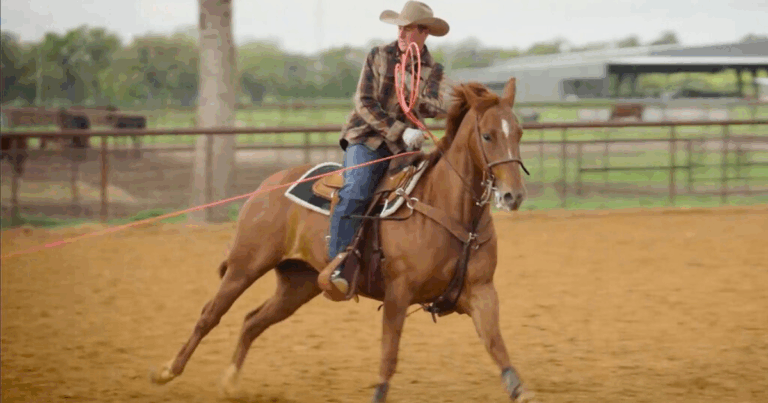 90342006-F164-48C1-A82F-C80C1540CD90