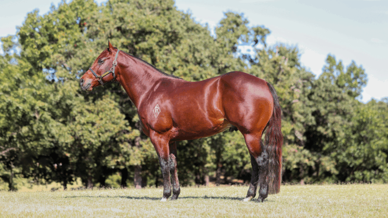 Watch The Lane stands at the Lazy E Ranch in Guthrie, Ok. | Reliance Ranches photo