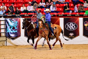 Ariat WSTR Finale