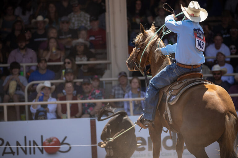 Brady Minor at the 2025 NFR Open.