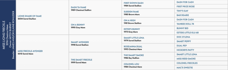 Mitch Barney's Miss Lions Freckle, aka Kit