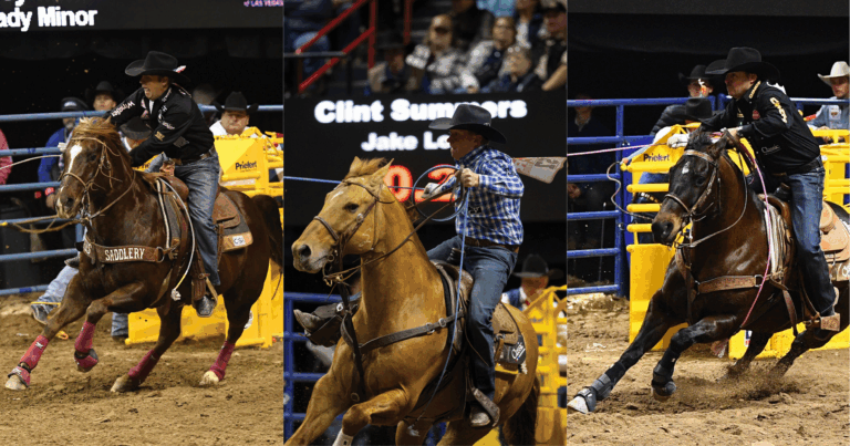 Cdwsaqopy of WSG - link preview with lines and logo