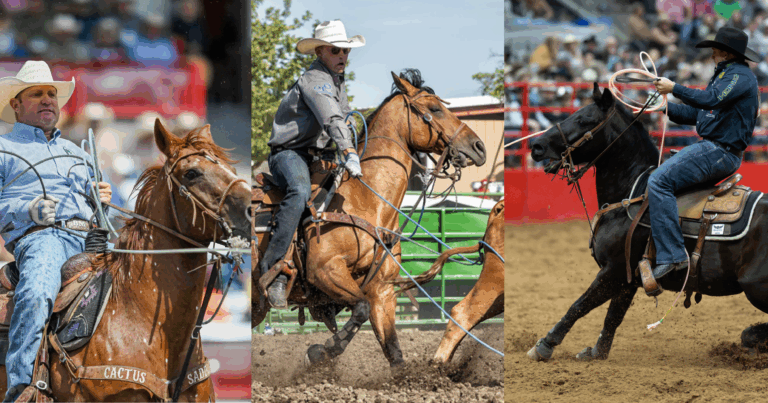 Copy of WSG - link preview with lines and logo-3