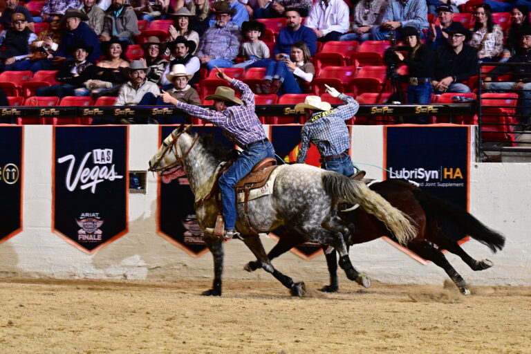 F516F1CE-6333-4E73-807F-6C4E77822D22