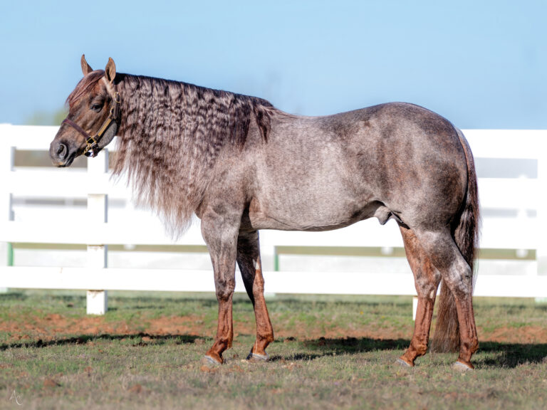 BG_Jan_2026_DIRTY FLING